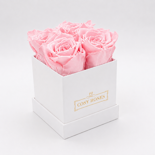 Preserved Roses - Ballet Pink Mini