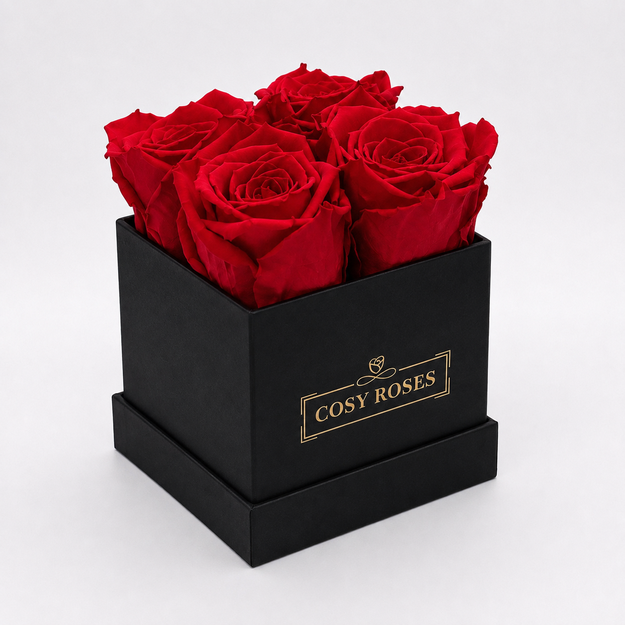 Preserved Roses - Midnight Rouge Mini