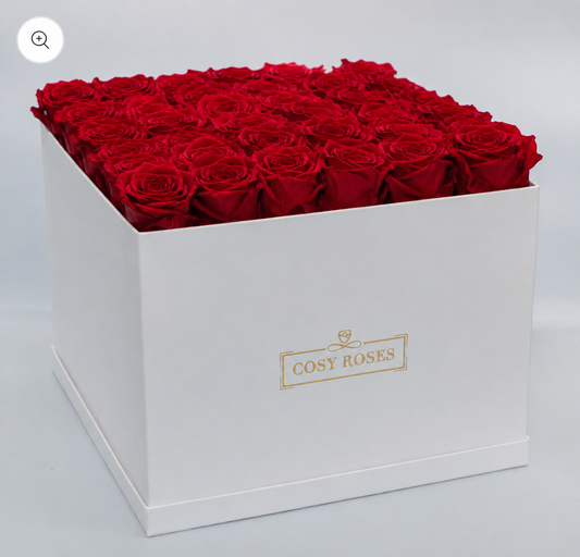 Preserved Roses - Midnight Rouge