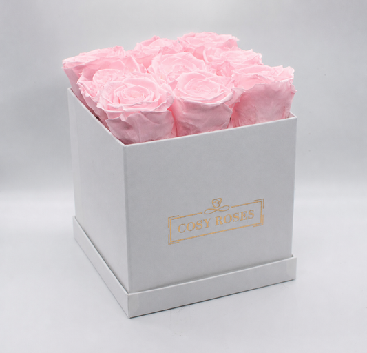 Preserved Roses - Ballet pink