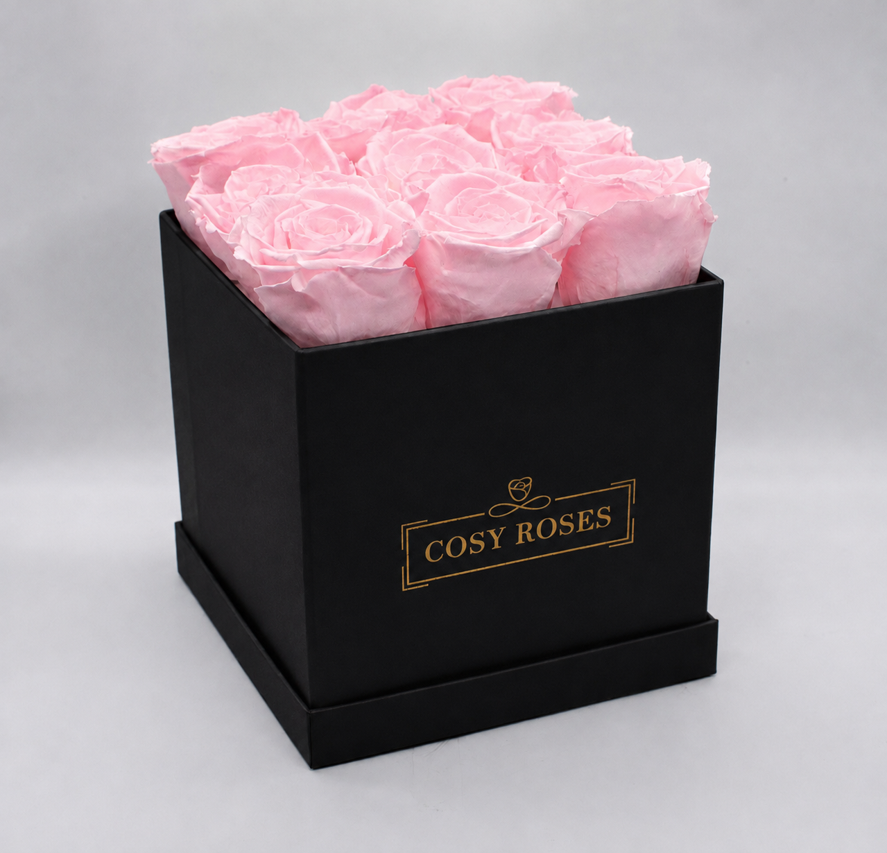 Preserved Roses - Ballet pink