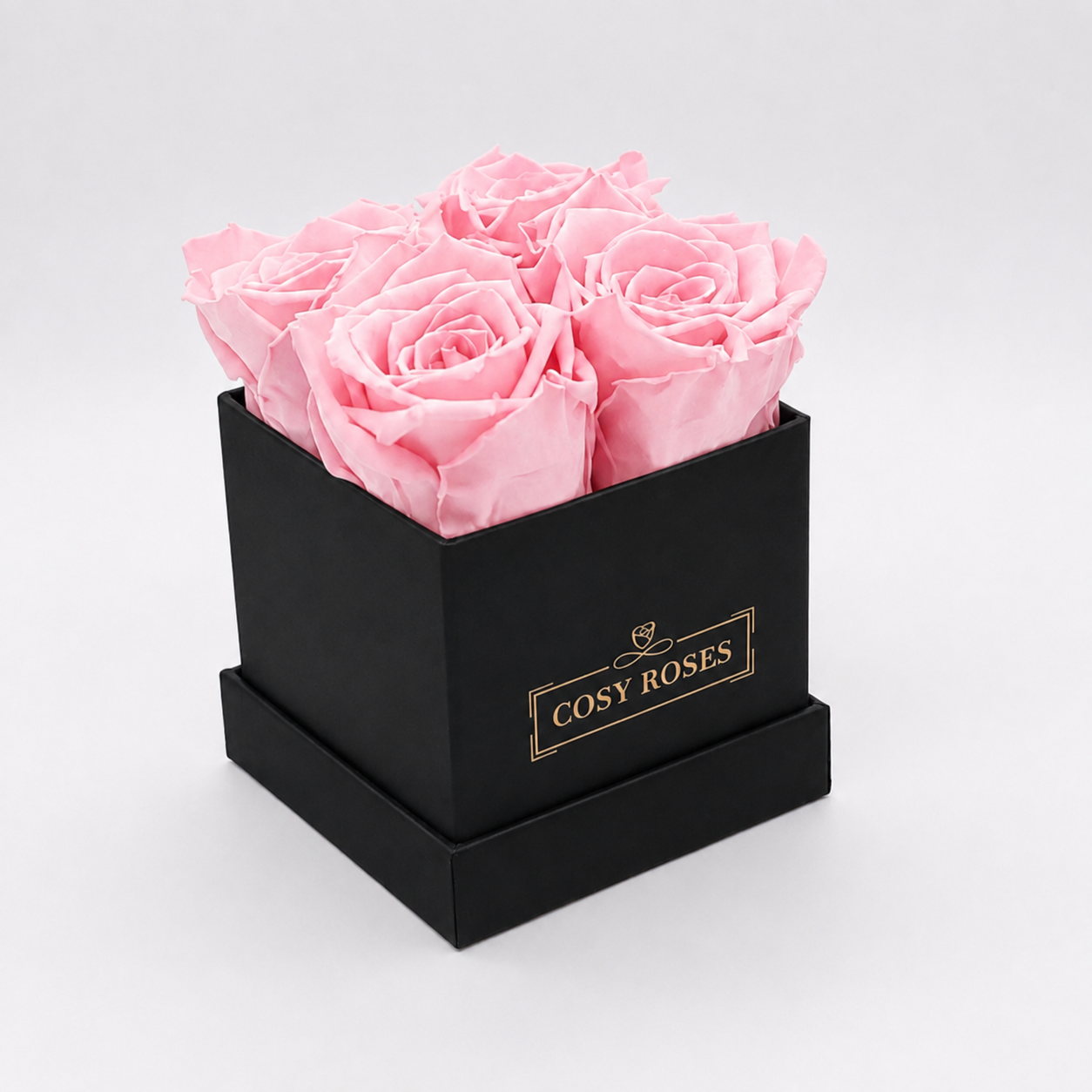 Preserved Roses - Ballet Pink Mini