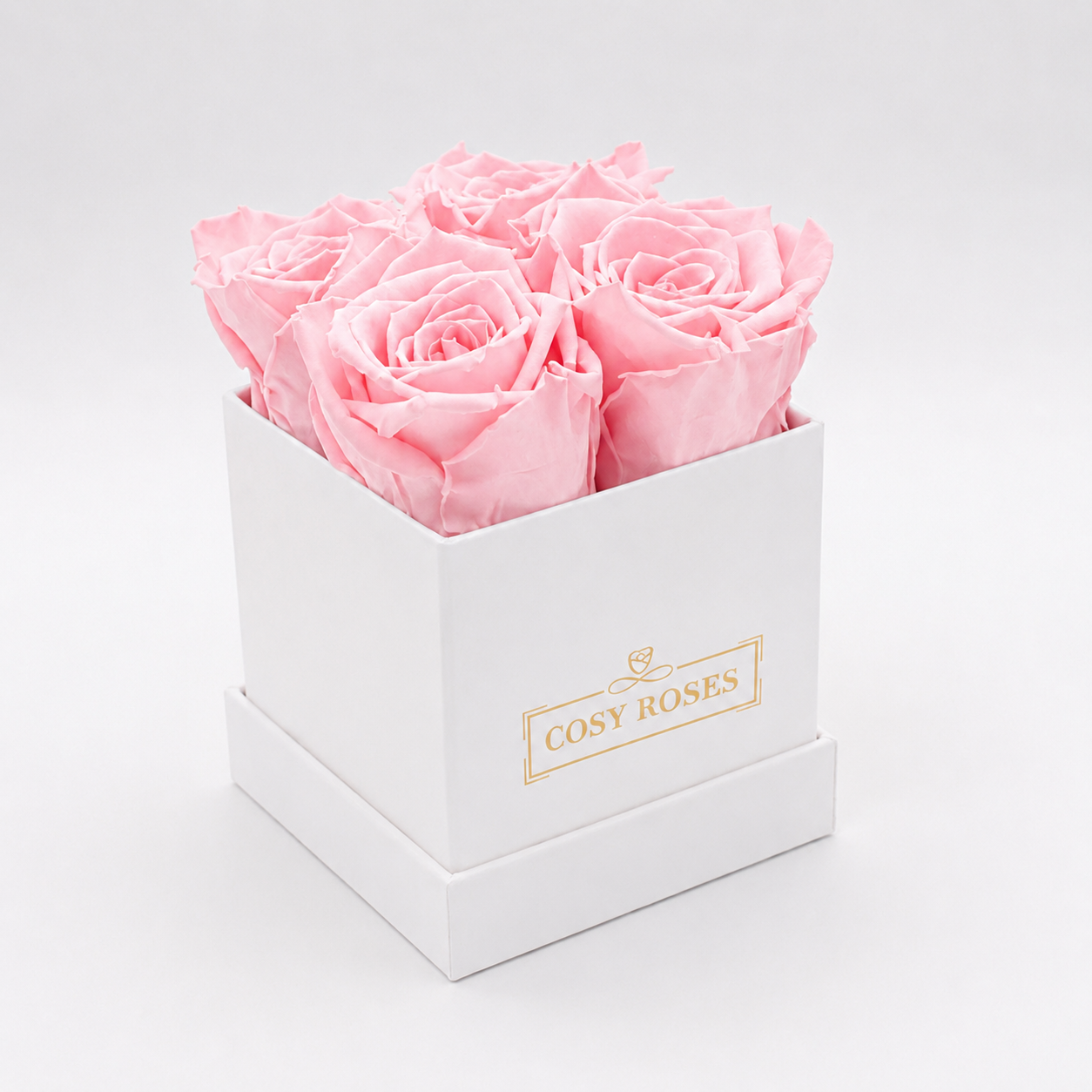 Preserved Roses - Ballet Pink Mini