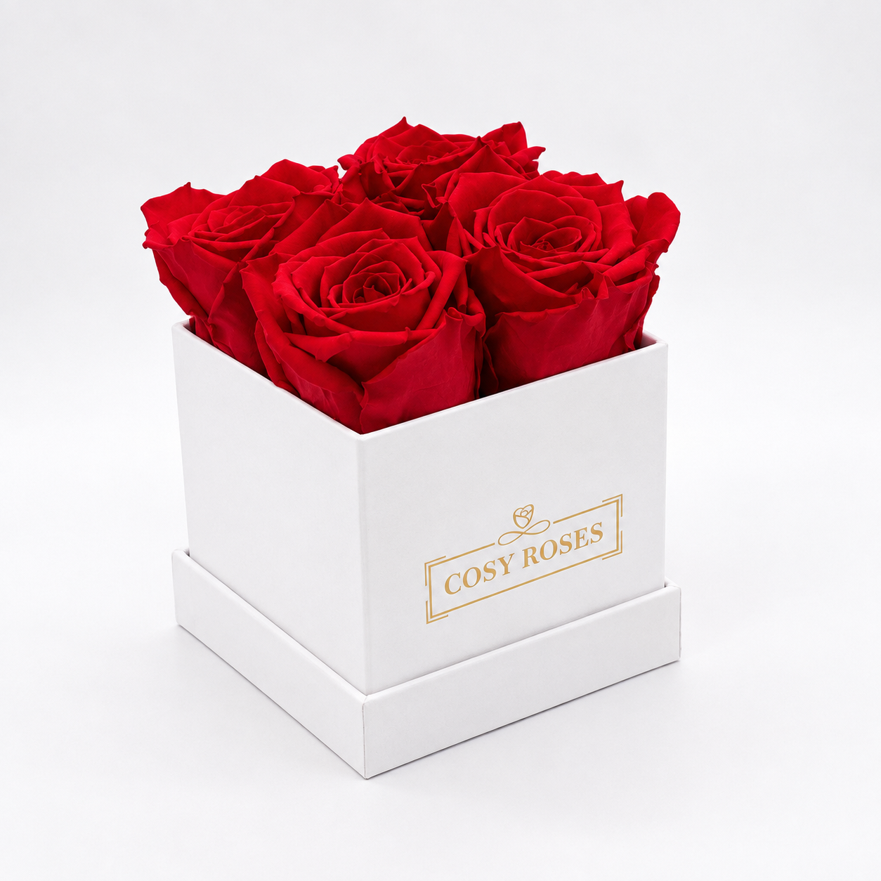 Preserved Roses - Midnight Rouge Mini